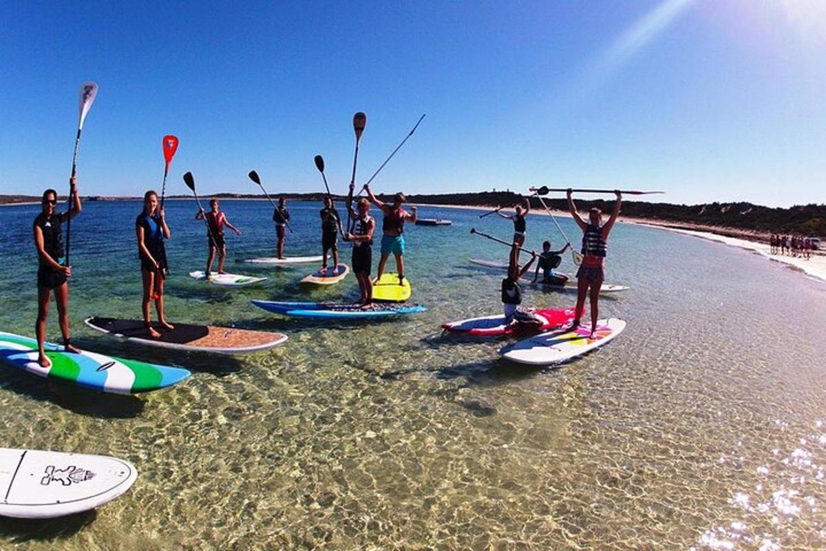 skupina ljudi, ki stojijo na deskah za surfanje na plaži