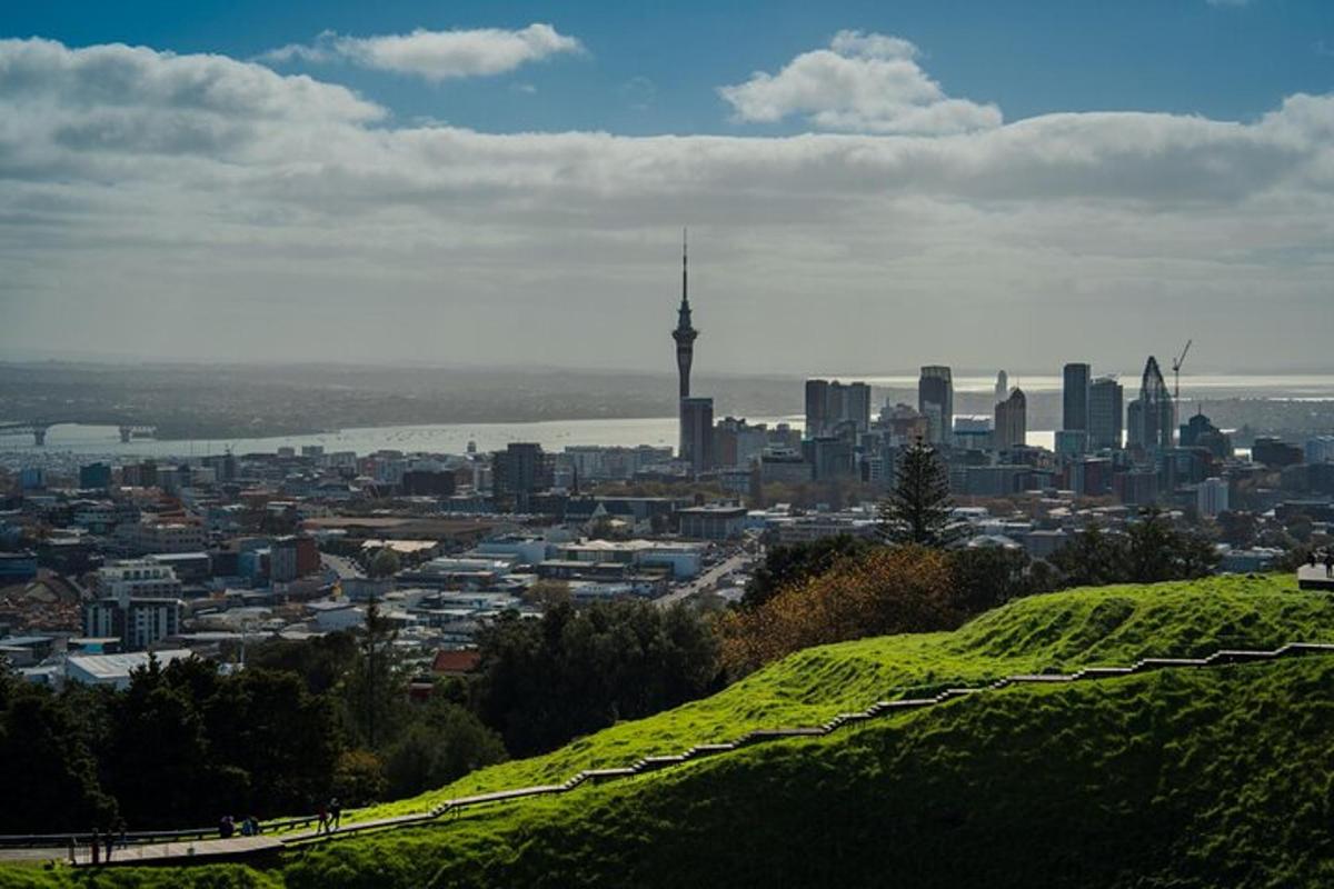 a view of a city from a hill with aucklandizonsizons