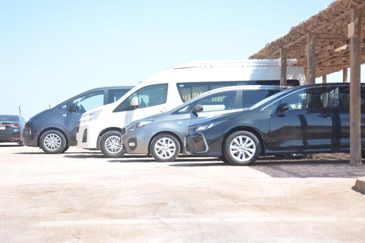 una fila di auto parcheggiate in un parcheggio