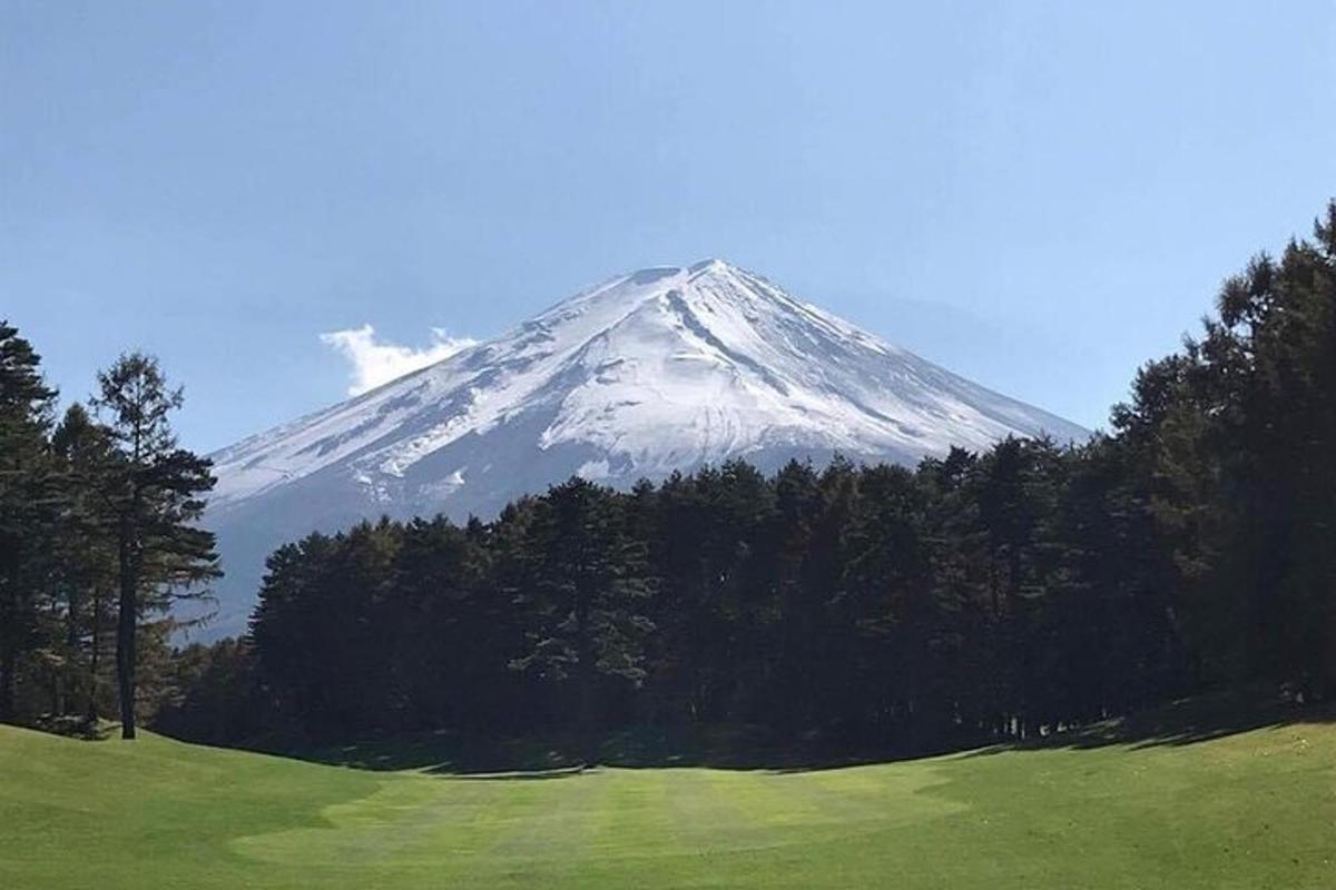 눈 덮인 산과 그 앞에 나무들