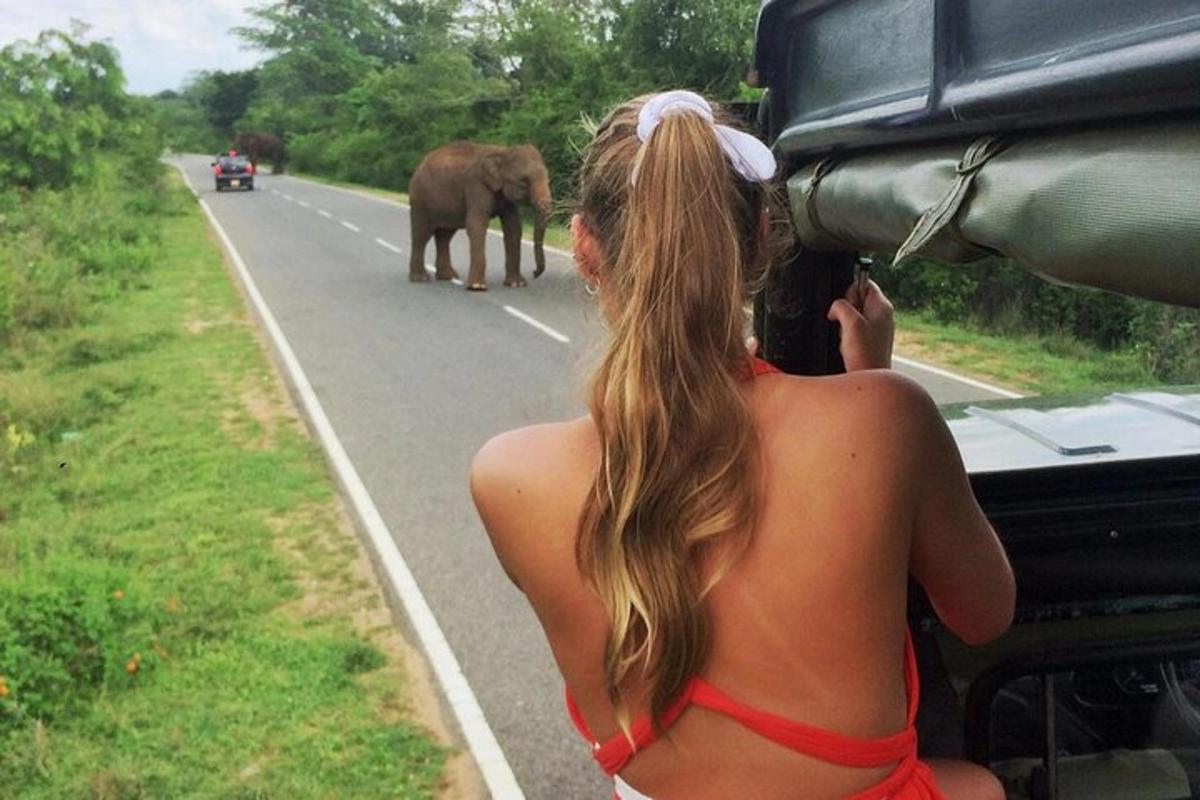 seorang wanita berbikini merah melihat seekor gajah di jalan