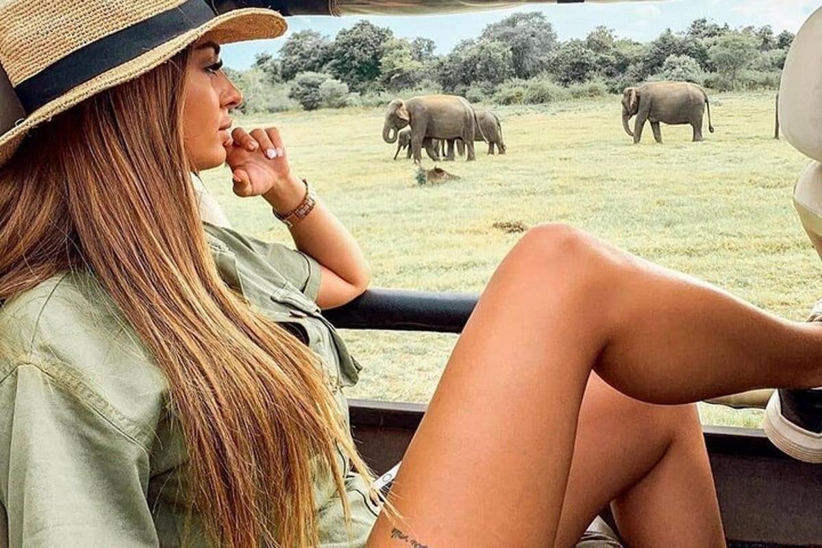 una donna seduta in un veicolo che guarda gli elefanti