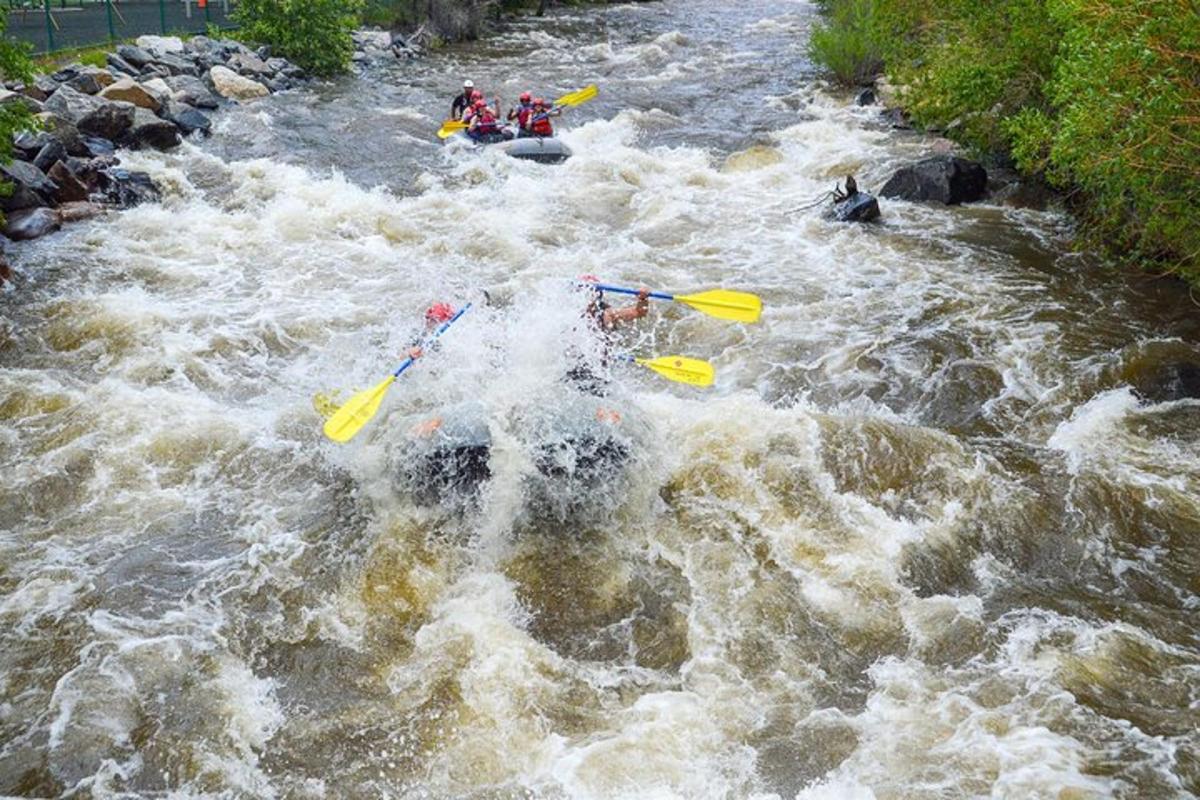 un gruppo di persone in kayak in un fiume