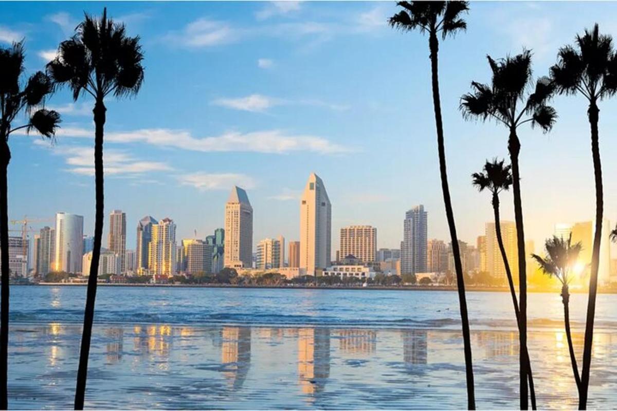a city skyline with palm trees in front of a body of water