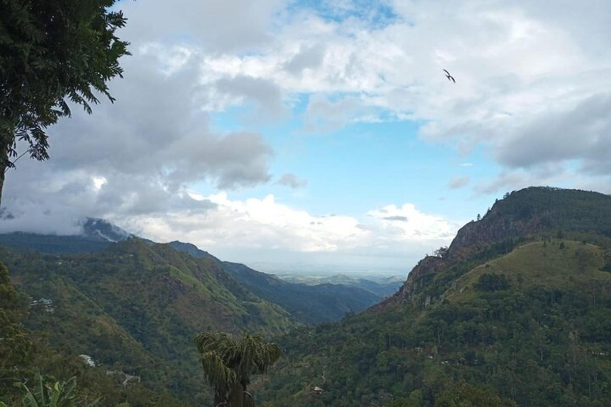 un uccello che vola sopra una valle tra le montagne