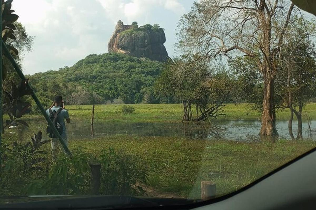 una persona che guarda fuori dal finestrino di un'auto verso una statua di un leone