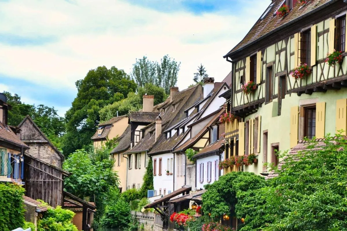 Musée Unterlinden et audioguide de Colmar, 9 h de découverte – photo 8