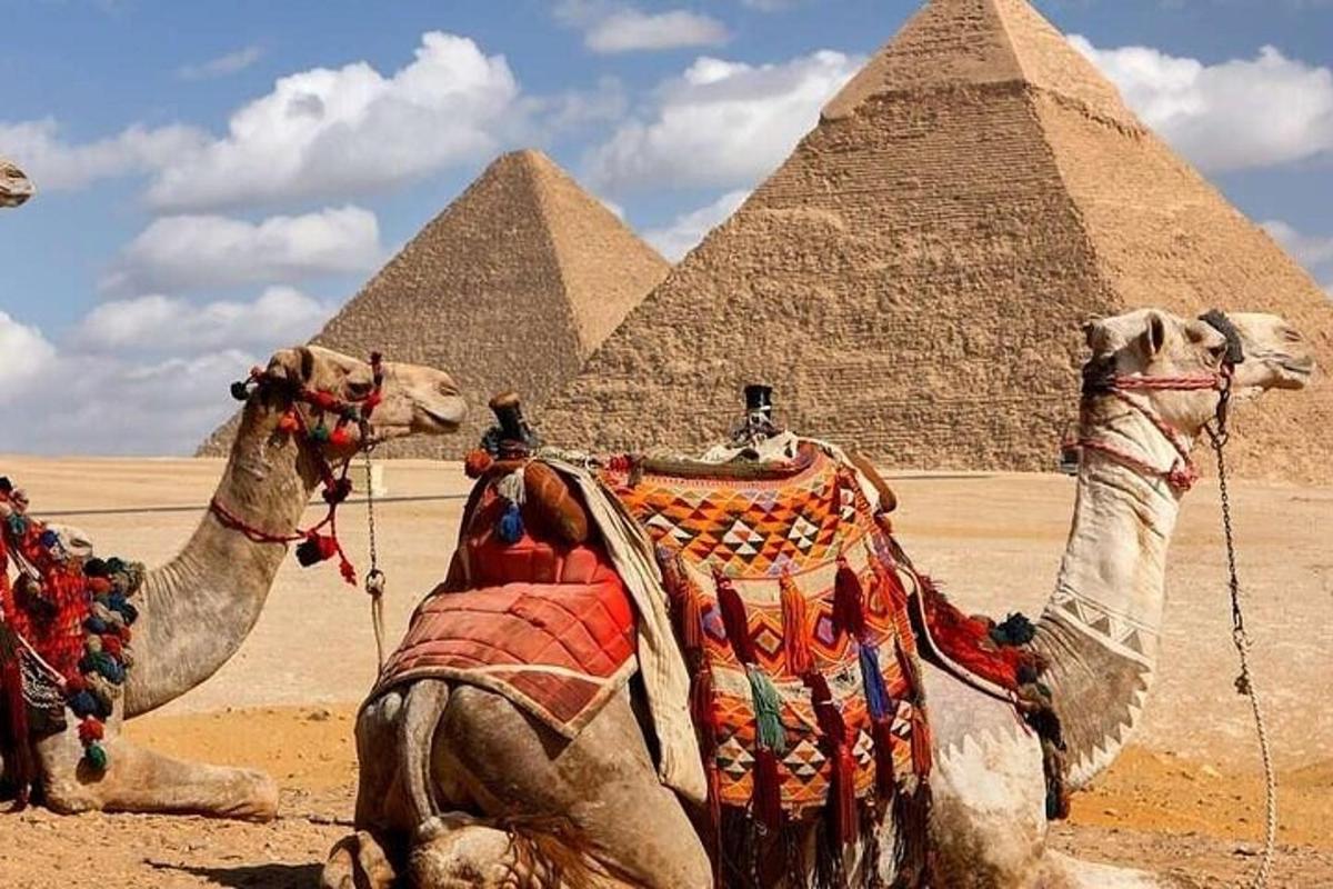 Dva velbloudi sedí před pyramidami