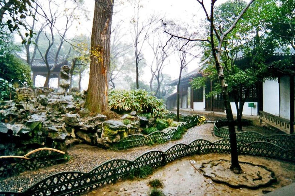 a garden with a black fence and a tree