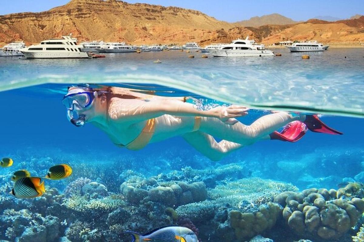 Μια γυναίκα κολυμπάει στον ωκεανό με ψάρια