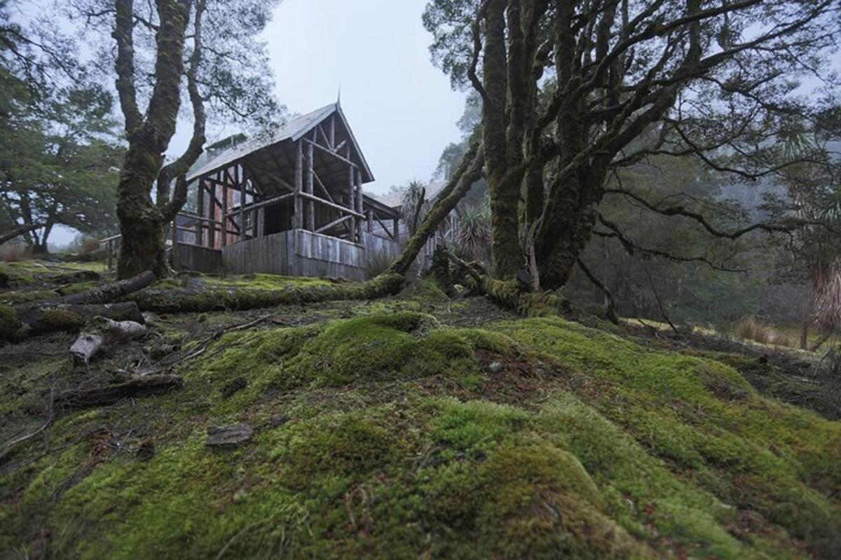 a house on top of a hill with trees