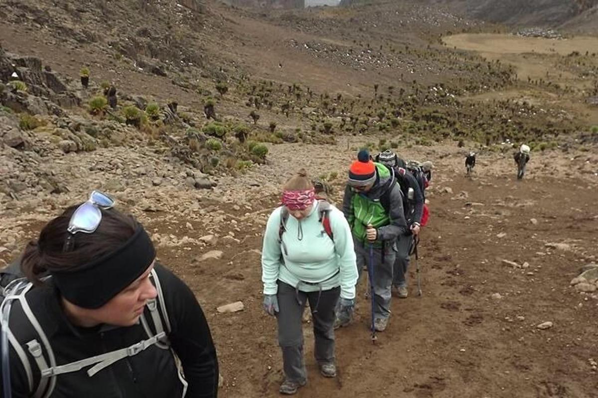 un gruppo di persone che camminano lungo un sentiero sterrato