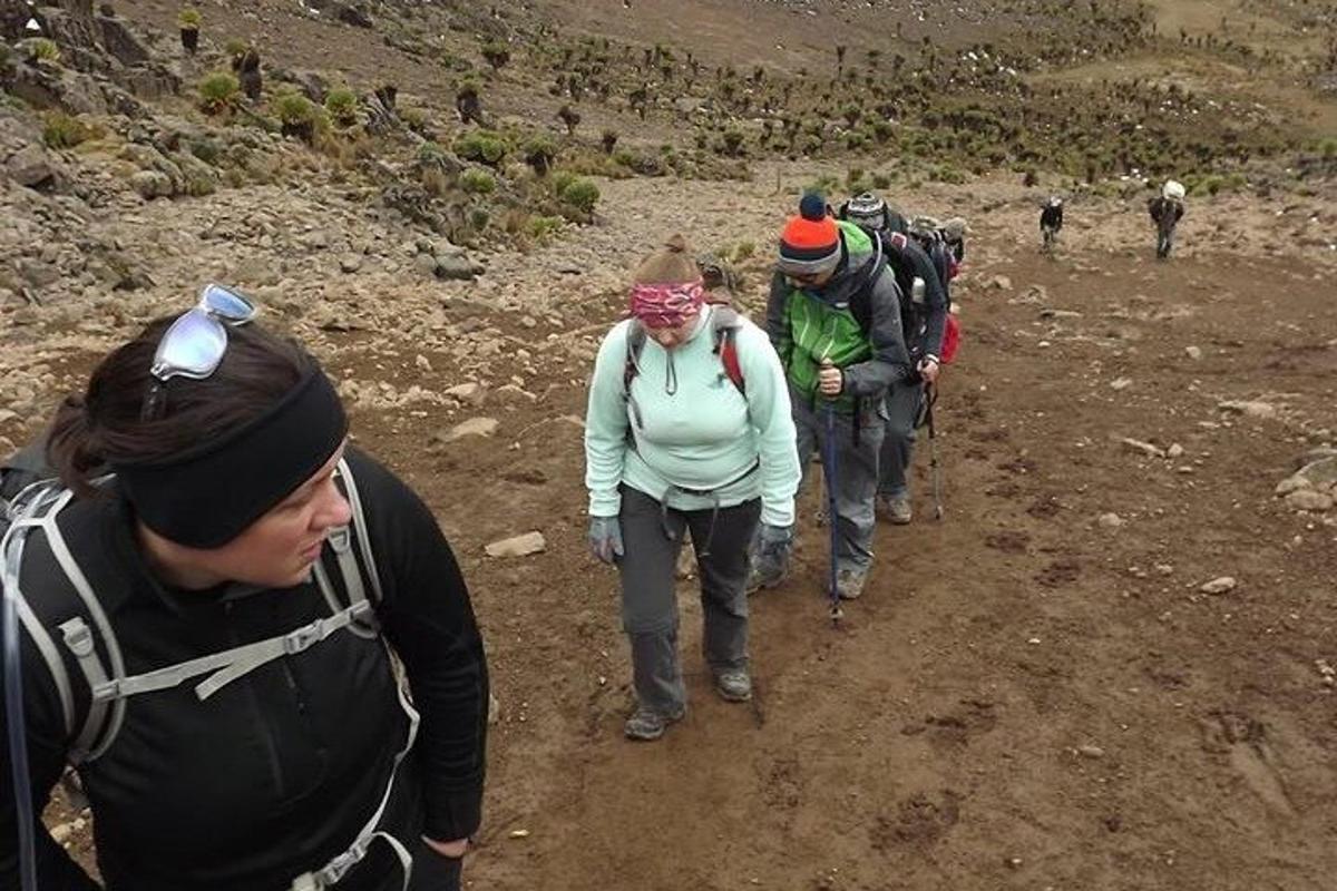 un gruppo di persone che camminano su un sentiero sterrato