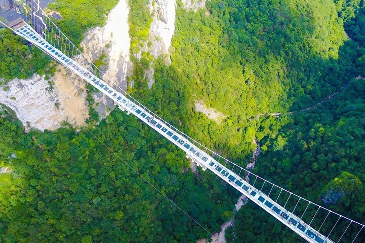 uma vista aérea de uma ponte suspensa sobre uma floresta