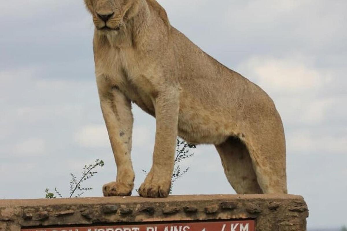 eine Löwenstatue, die auf einer Mauer steht