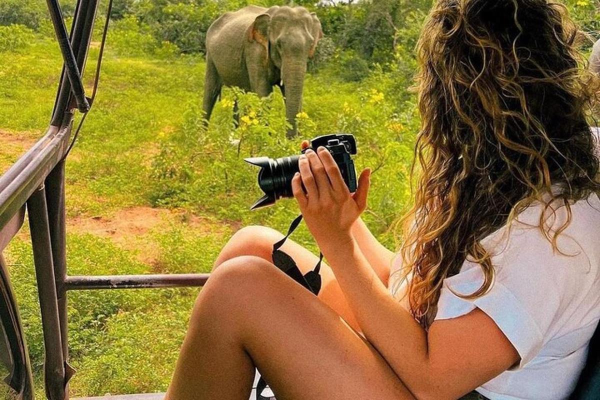 a woman taking a picture of an elephant with a camera