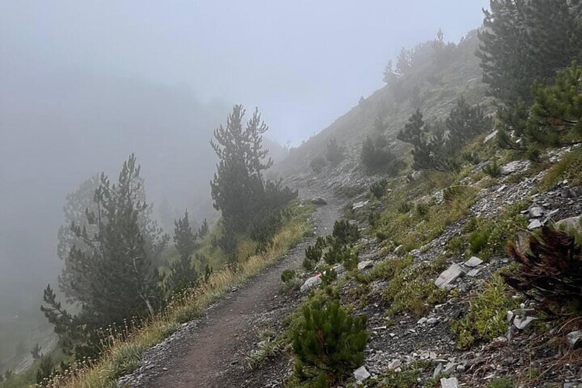 un camí de terra en una muntanya amb arbres