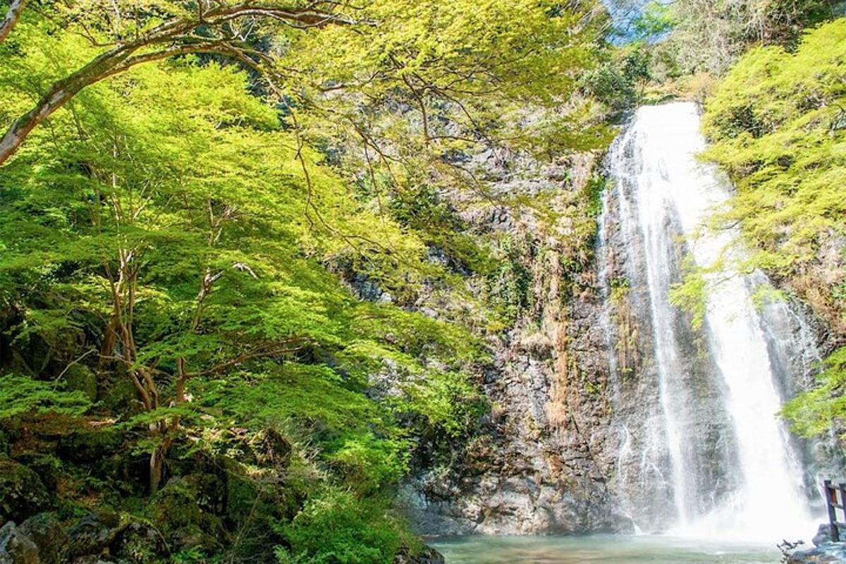 air terjun di tengah-tengah hutan