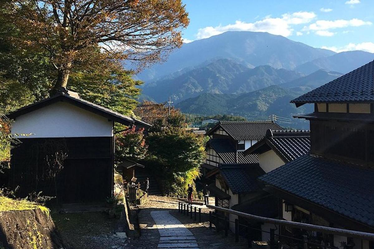 a view of a village with mountains in the background