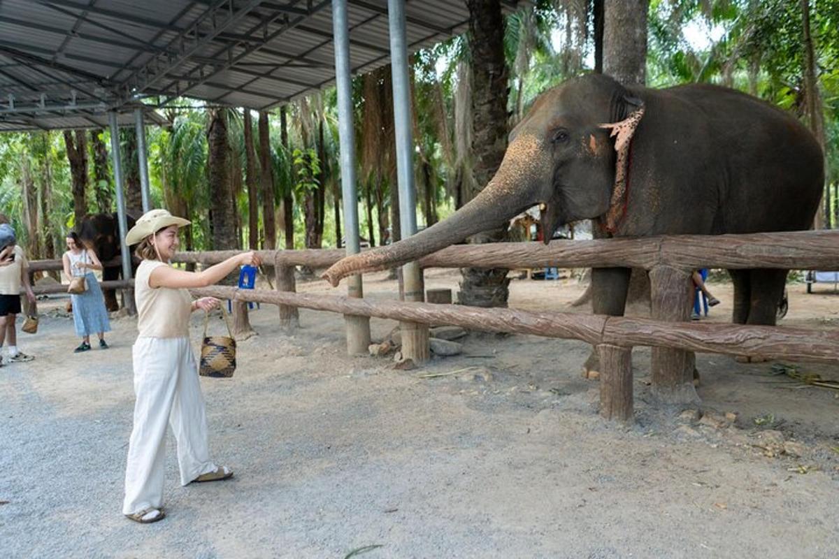 una dona acaricia un elefant amb la trompa