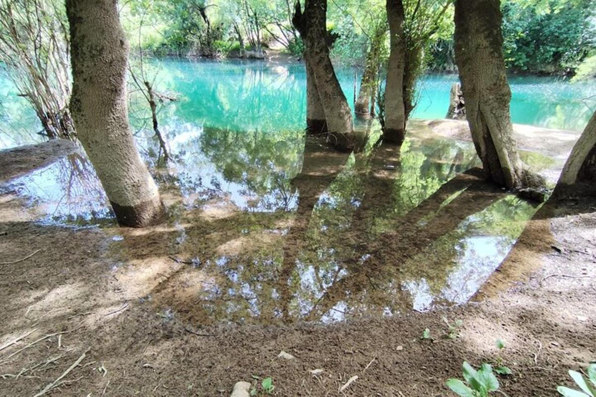 ένα υδάτινο σώμα με δέντρα μπροστά του