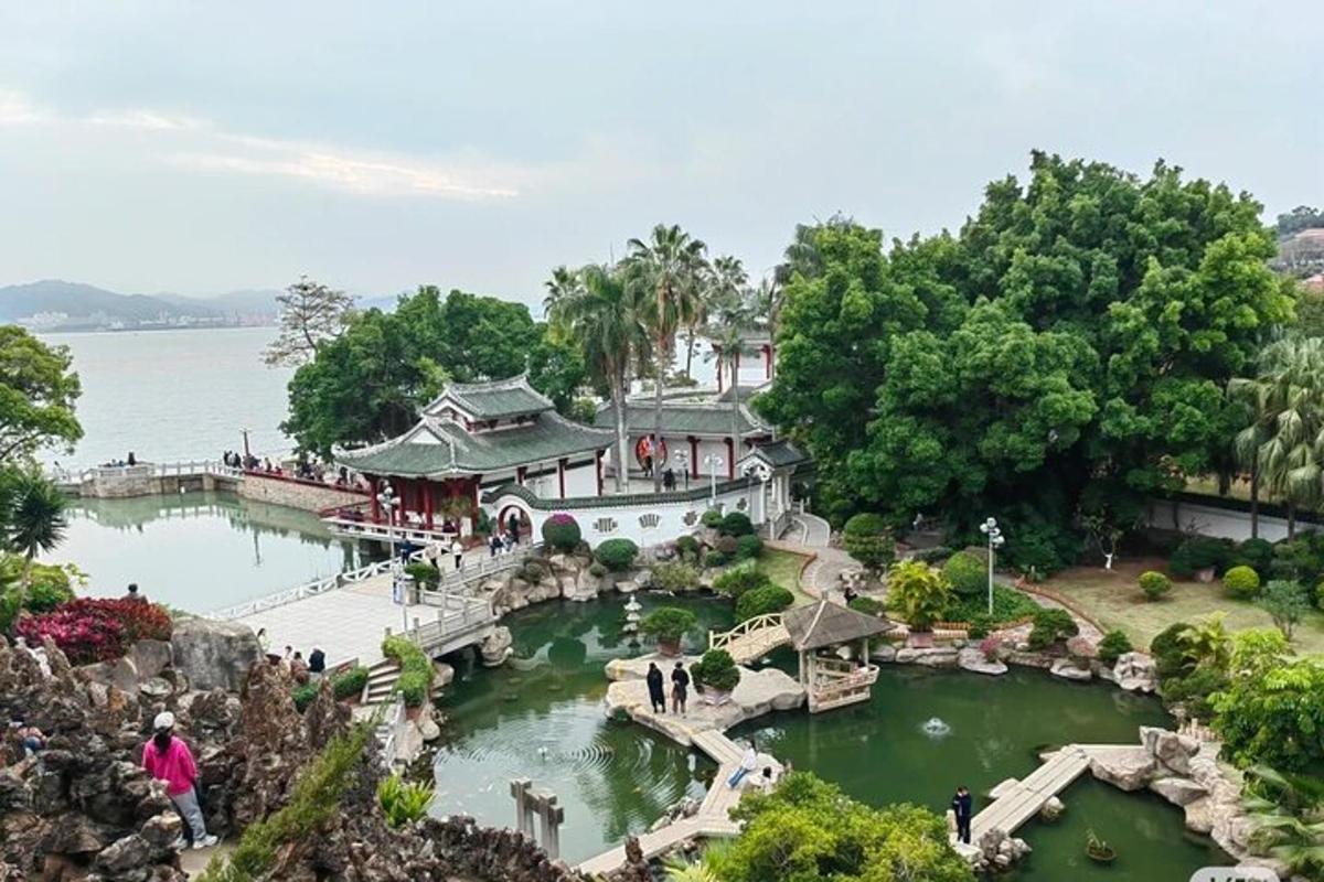 an overhead view of a garden with a pond