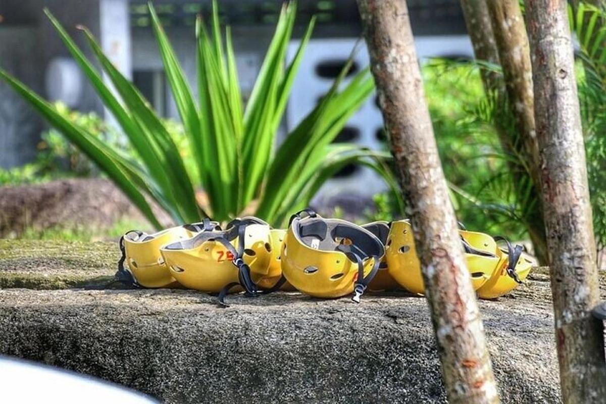skupina banan, ki sedijo na vrhu skale