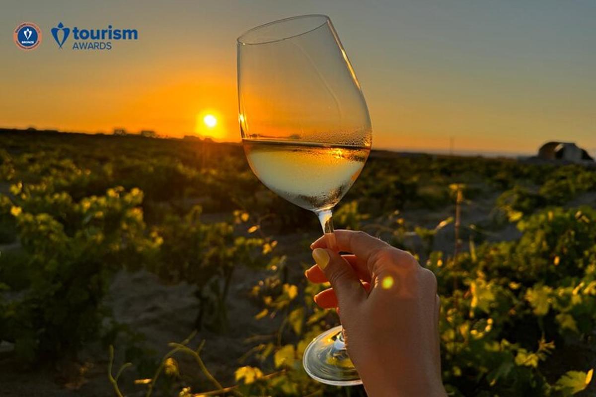 oseba, ki drži kozarec vina pred sončnim zahodom
