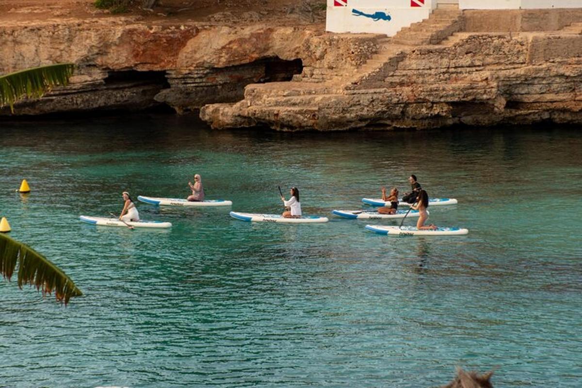 un grup de oameni care stau pe plăci de surf în apă