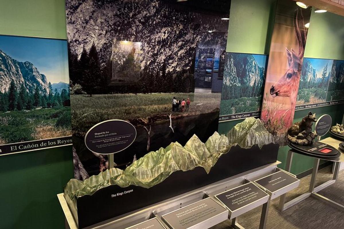 una vetrina in un museo con l'immagine di una montagna