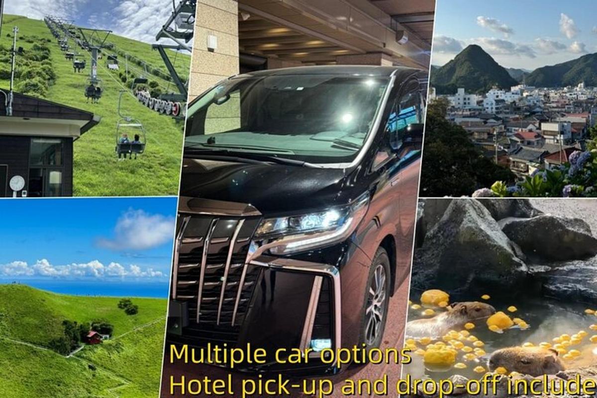 kollaaž erinevatest veoautopiltidest