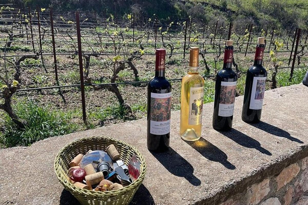 skupina steklenic vina in košara kamenja
