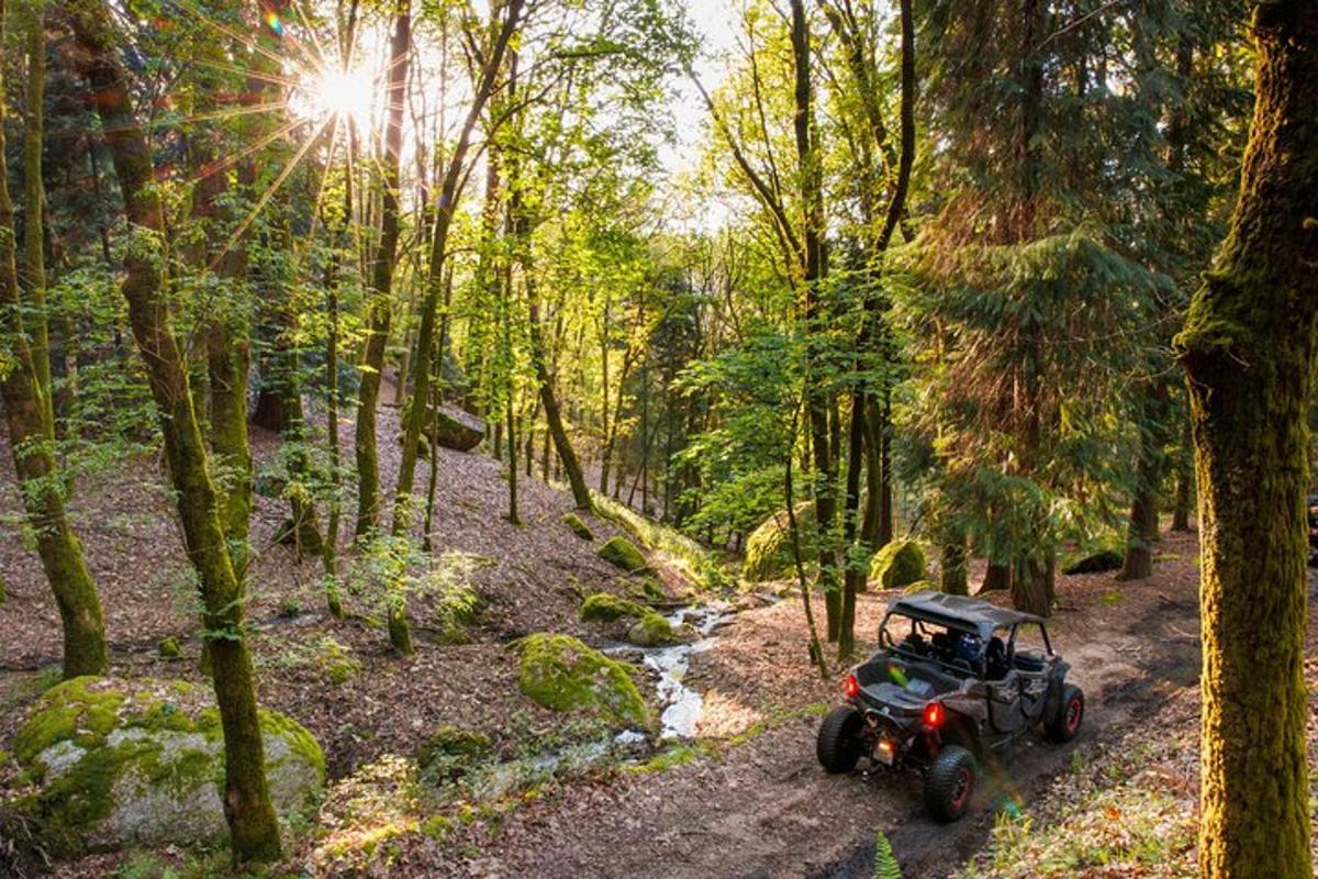un ATV parcat pe o potecă într-o pădure