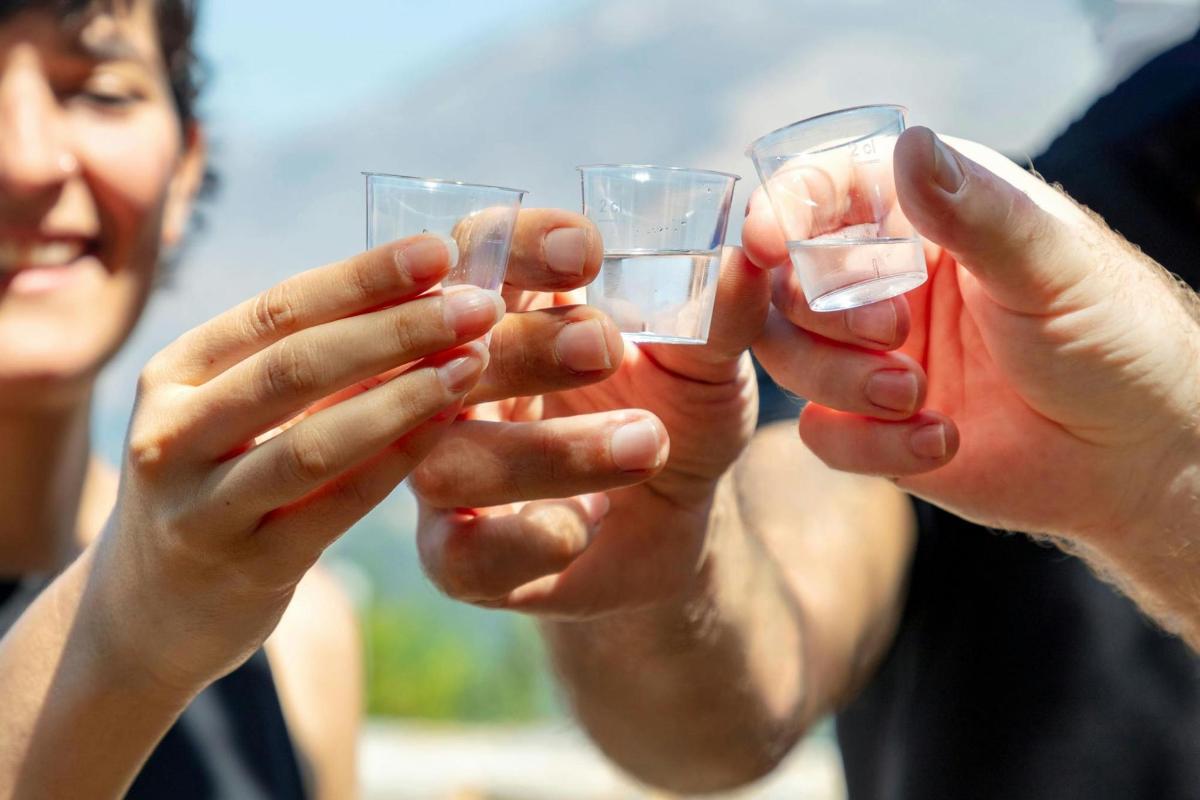 two people holding wine glasses in their hands