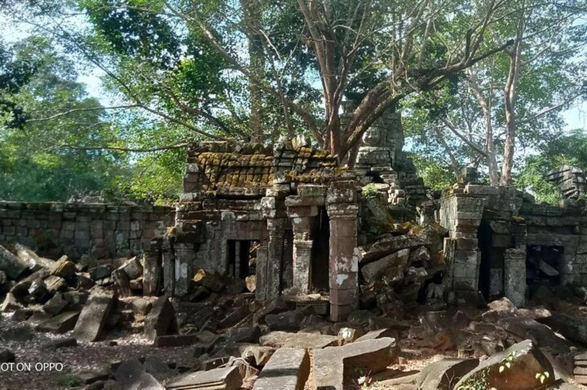 un vecchio edificio in pietra con un albero in cima
