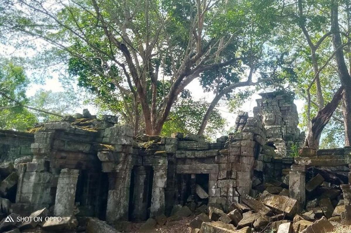 un vecchio edificio in pietra con un albero sullo sfondo