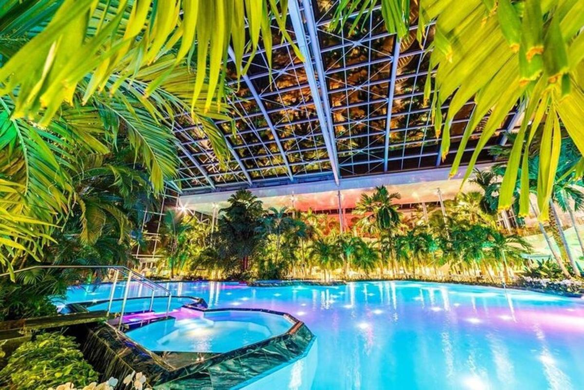 a large swimming pool in a resort with palm trees