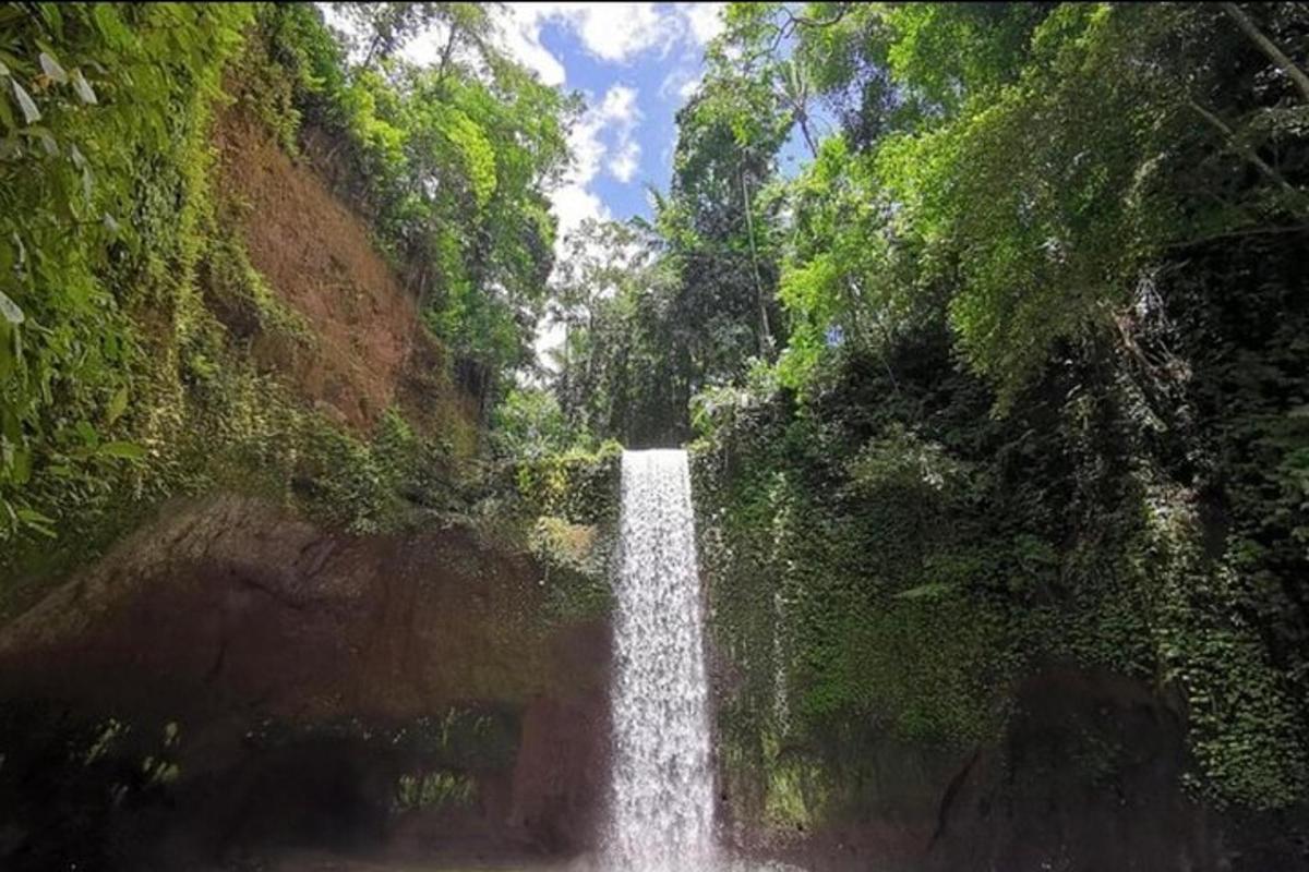 uma cachoeira no meio de uma floresta