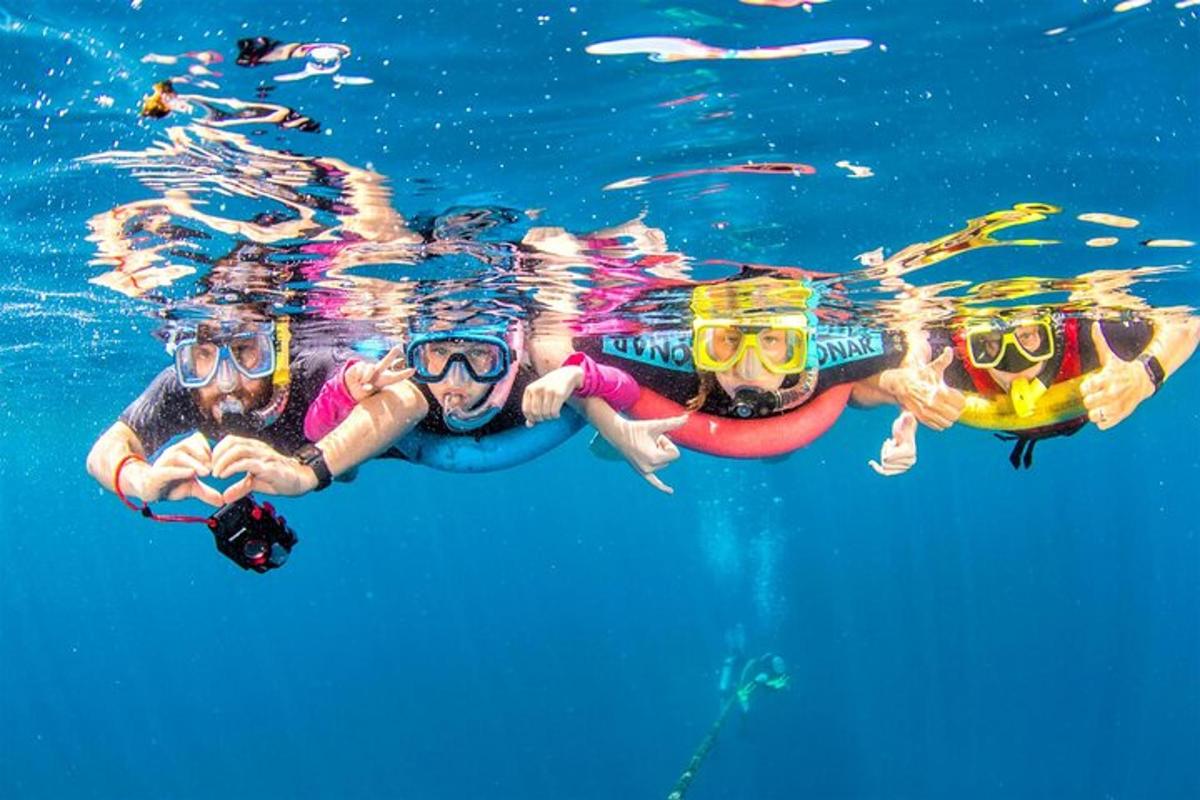 sekumpulan orang berenang di dalam air