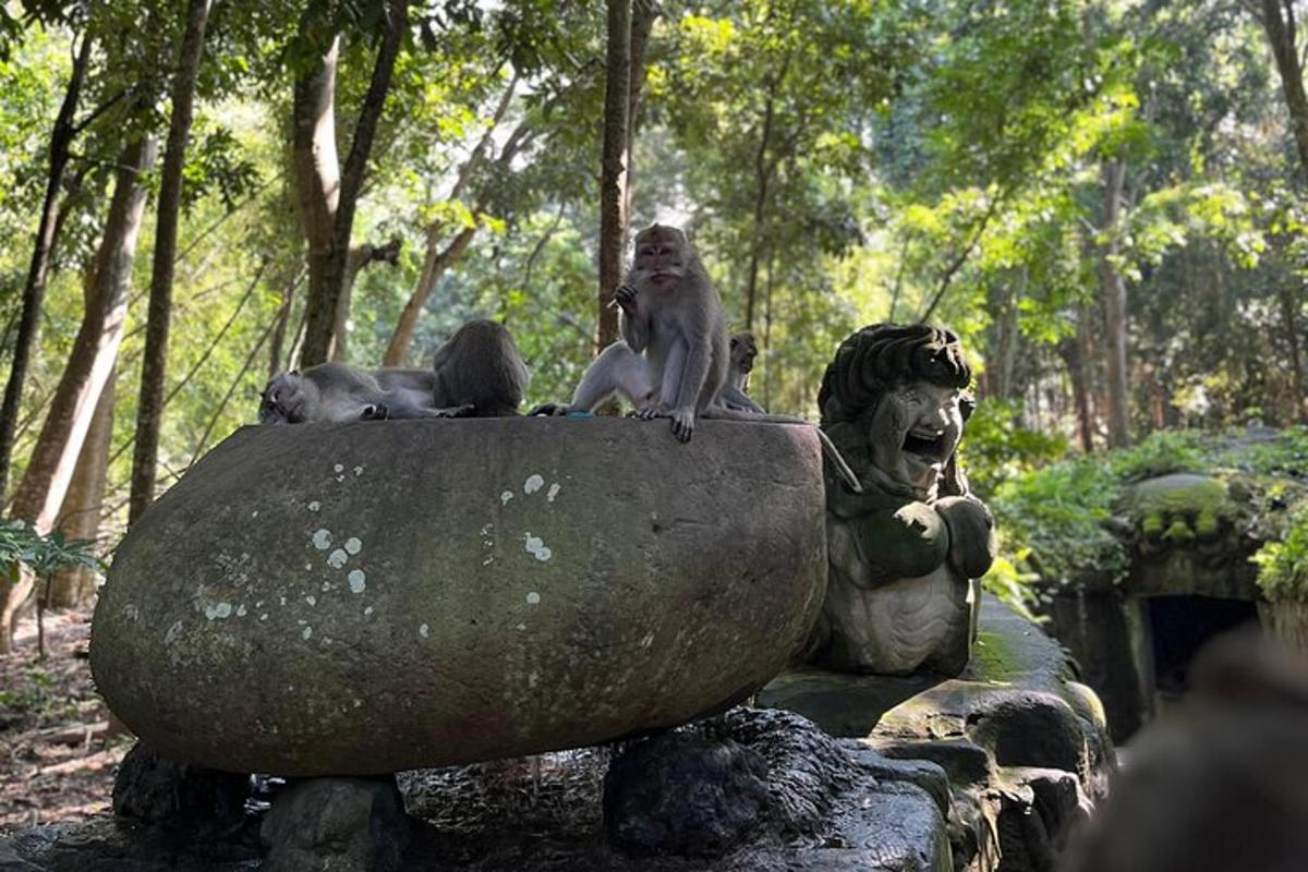 isang grupo ng mga unggoy na nakaupo sa ibabaw ng isang rebulto