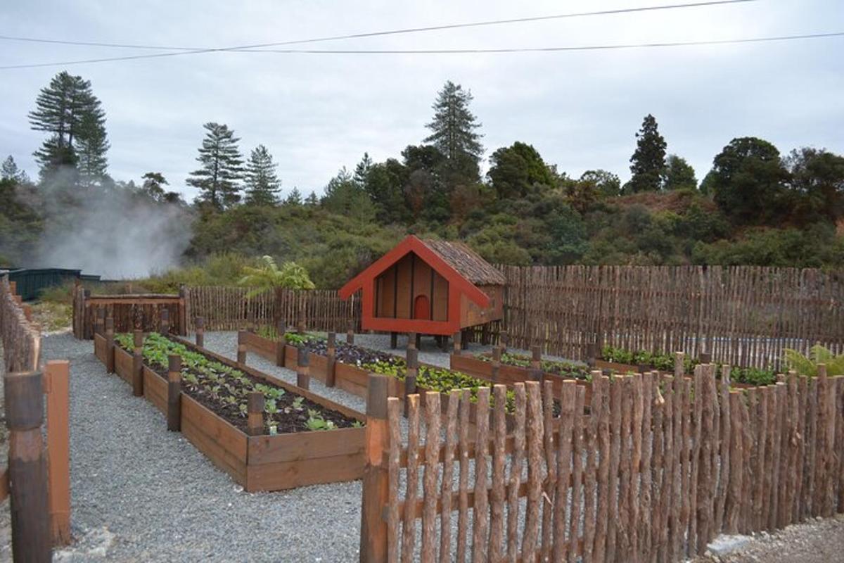 a garden with a wooden fence and some plants