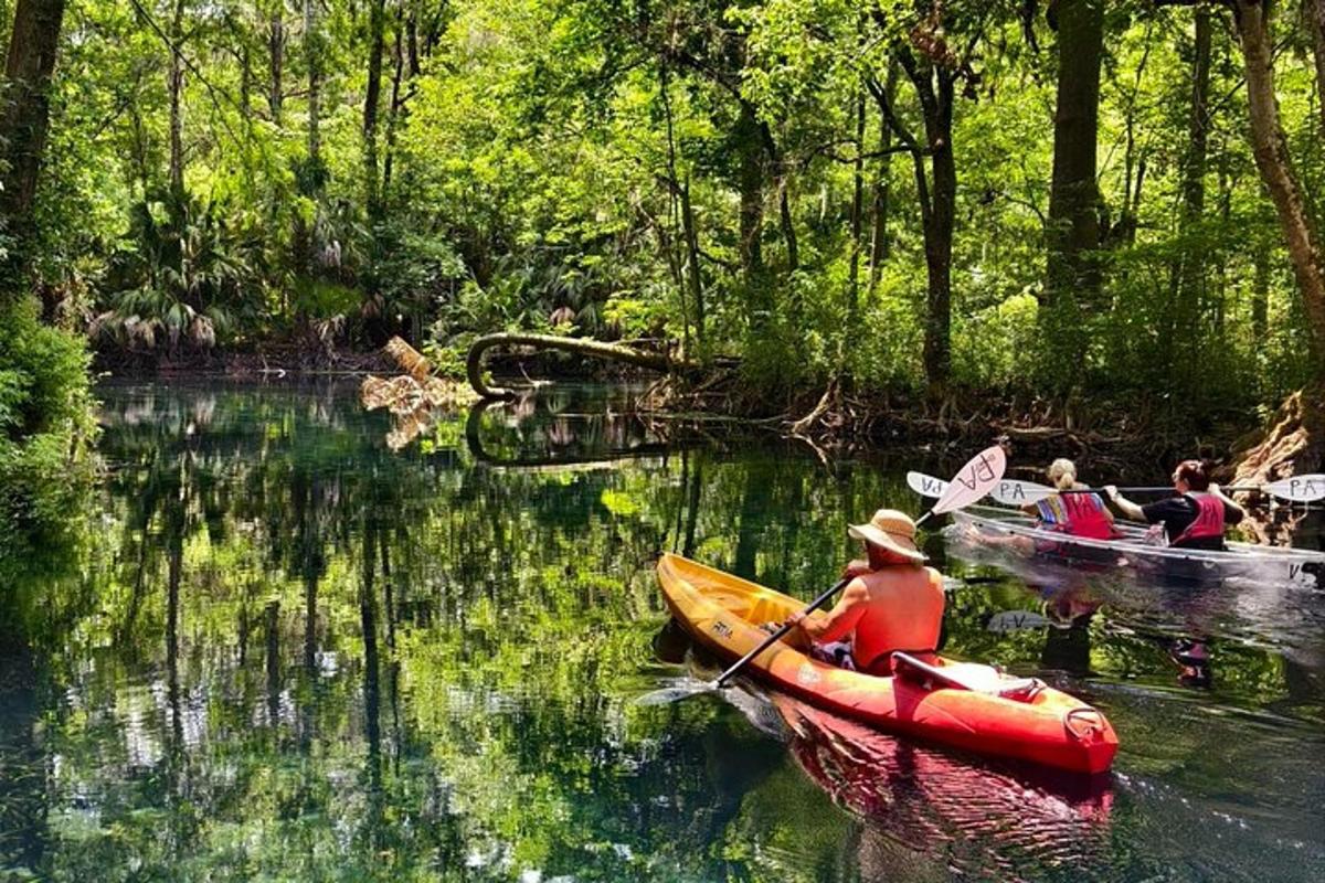 a group of people in kayaks on a river