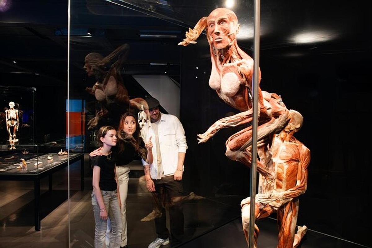 a group of people standing in front of a museum display