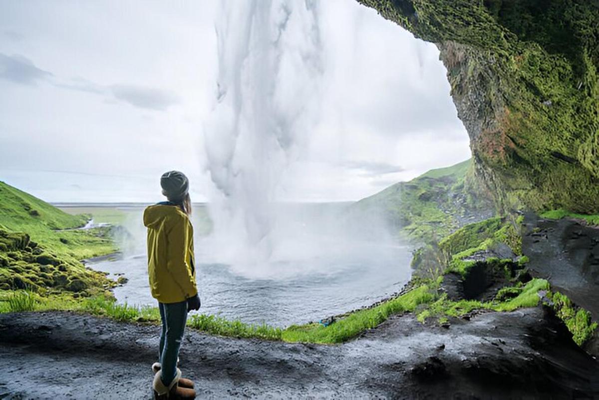 una persona in piedi su una roccia che guarda una cascata