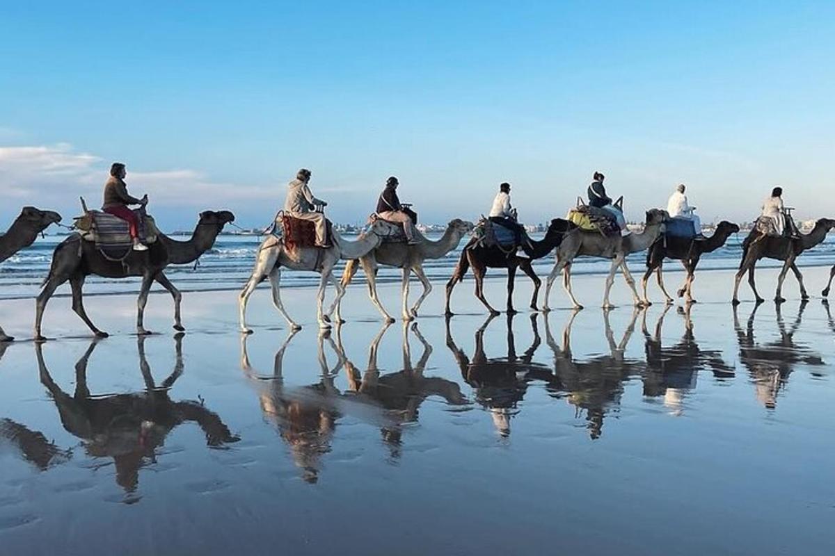 sekumpulan orang menunggang unta di pantai