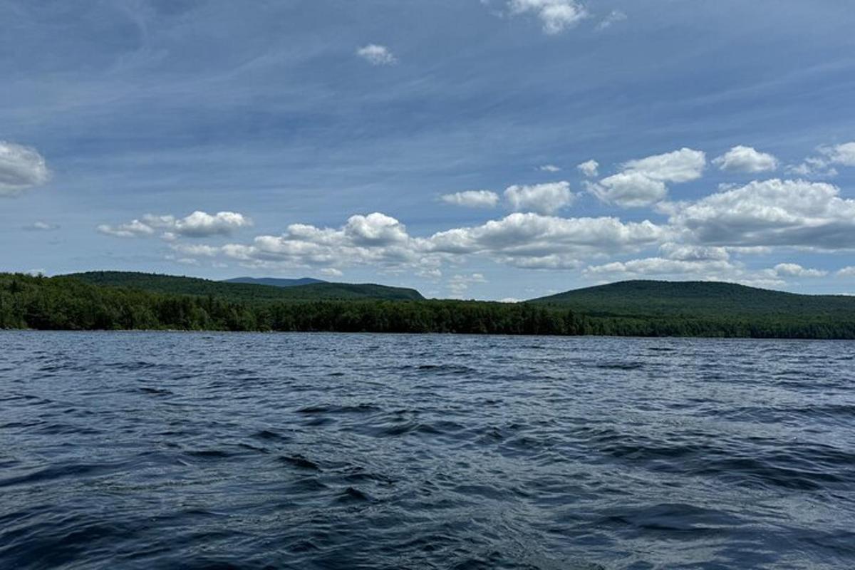 a large body of water with trees in the background