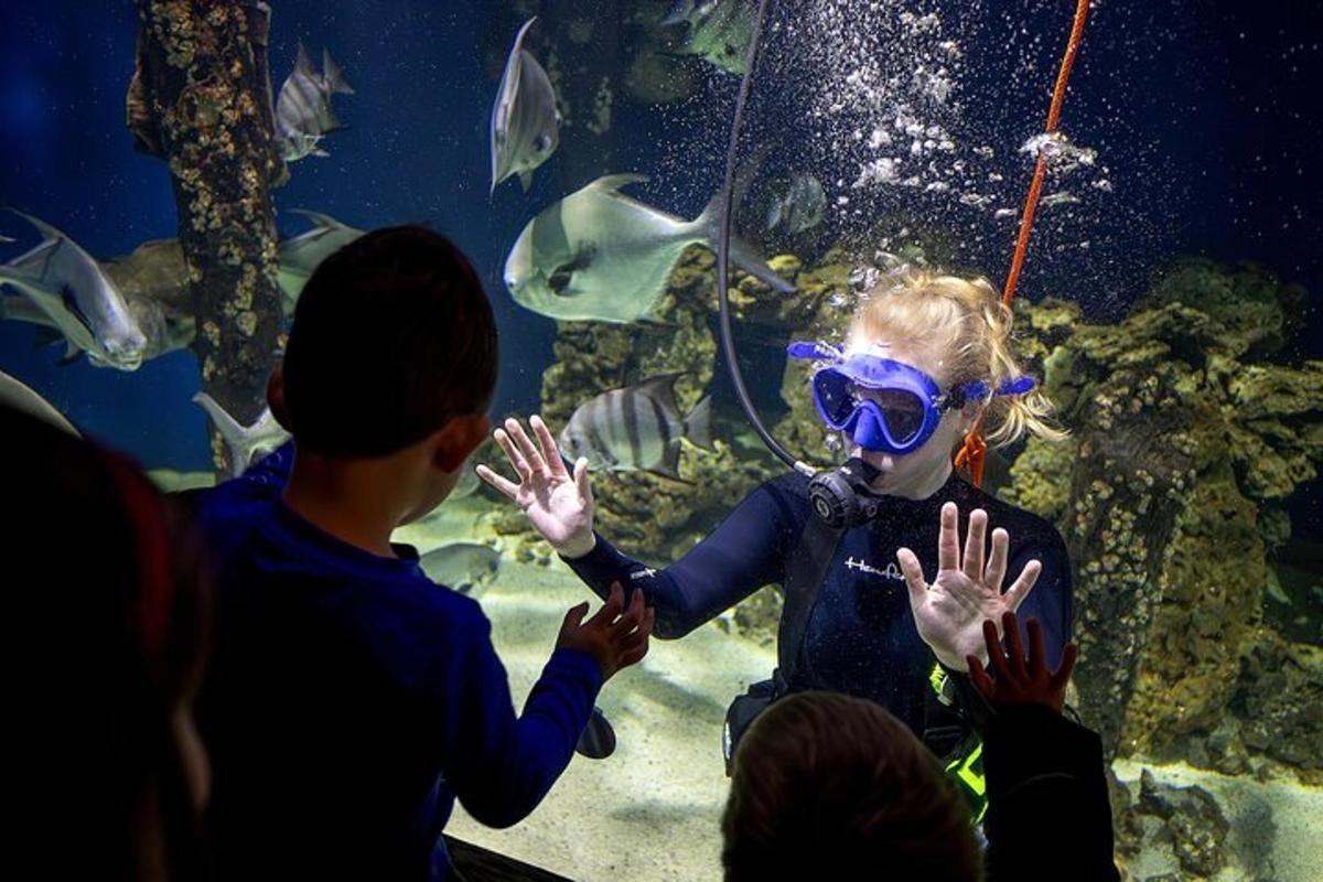 a group of people watching a girl in an aquarium