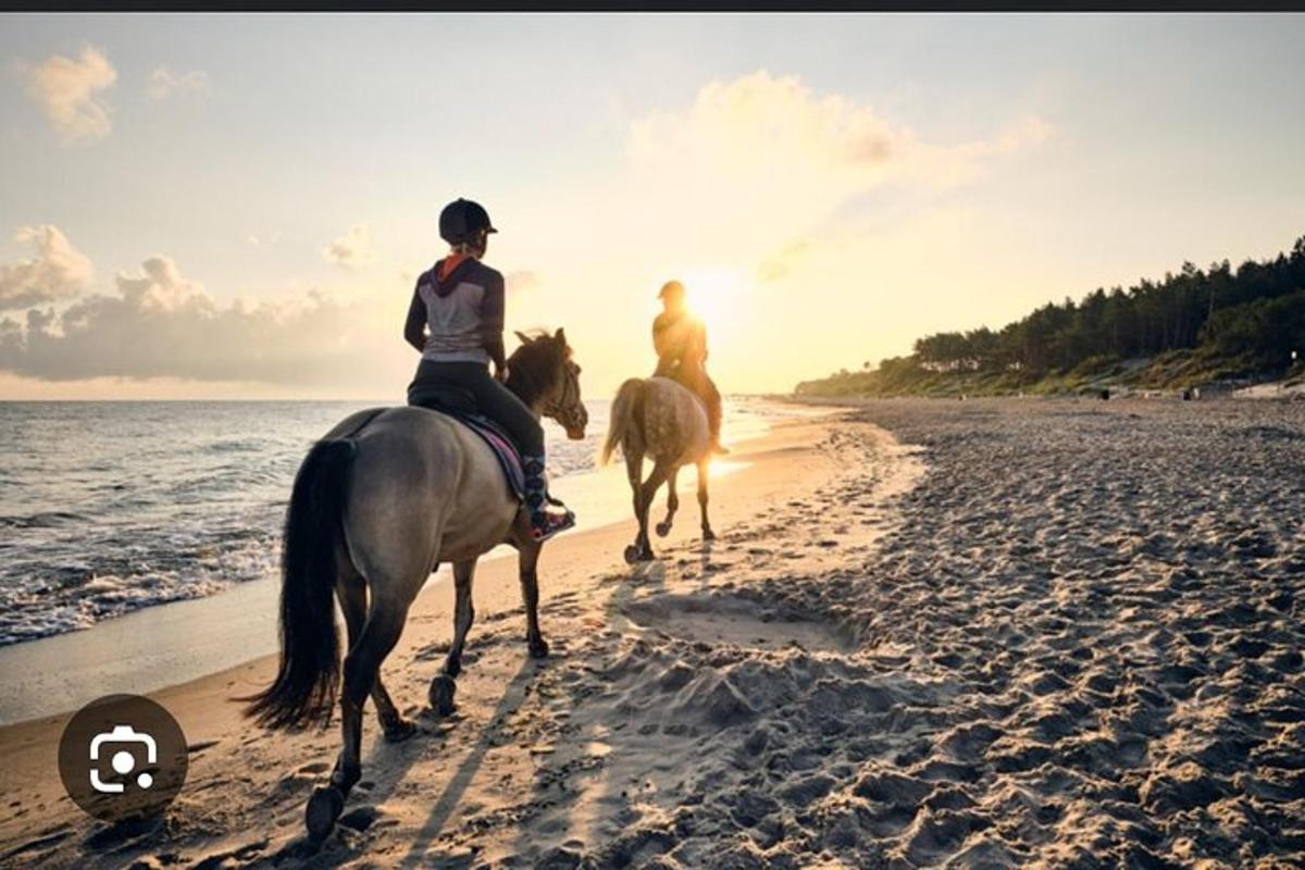 sepasang orang menunggang kuda di pantai