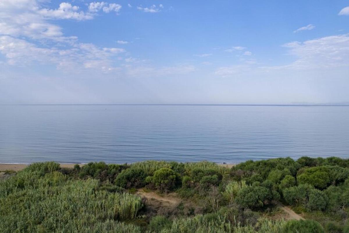 a view of a body of water with trees
