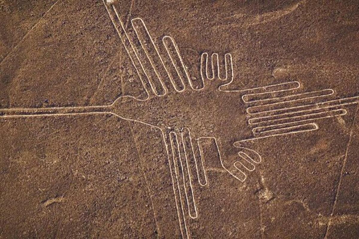 un disegno di un paio di zebre a terra